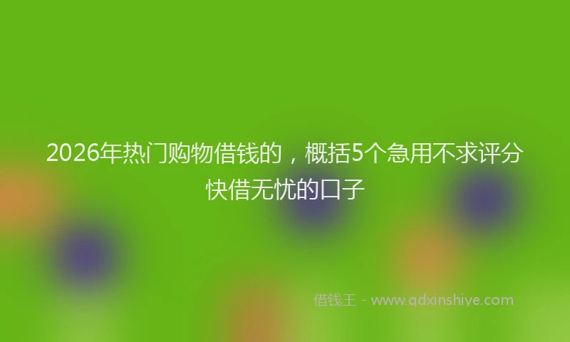 2026年热门购物借钱的，概括5个急用不求评分快借无忧的口子