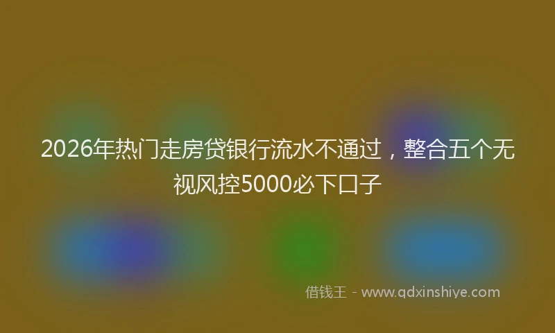 2026年热门走房贷银行流水不通过，整合五个无视风控5000必下口子