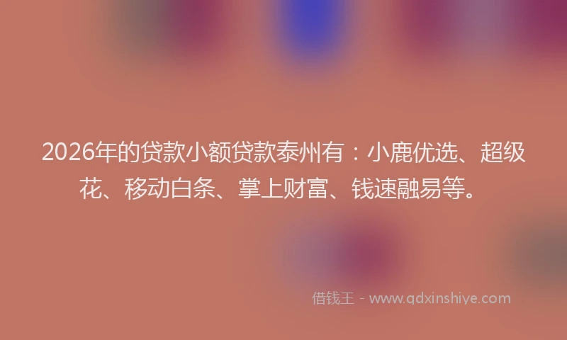 2026年的贷款小额贷款泰州有：小鹿优选、超级花、移动白条、掌上财富、钱速融易等。