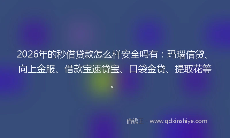 2026年的秒借贷款怎么样安全吗有：玛瑙信贷、向上金服、借款宝速贷宝、口袋金贷、提取花等。