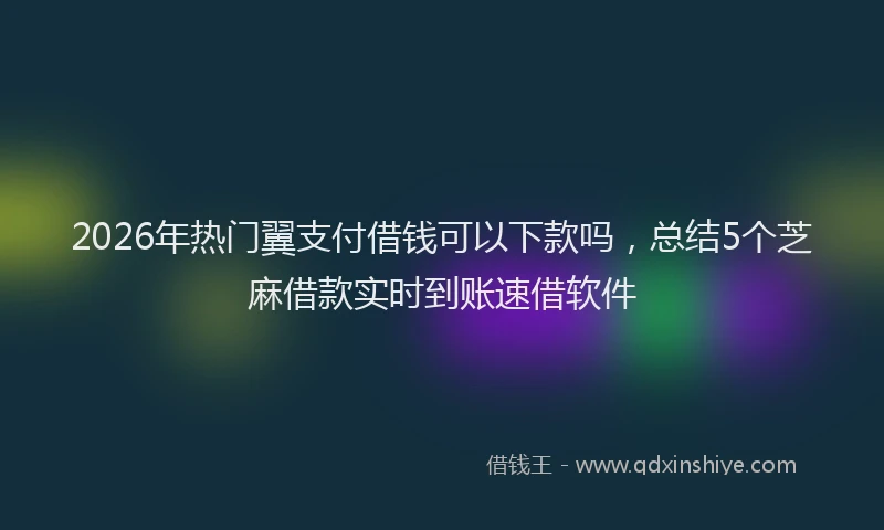 2026年热门翼支付借钱可以下款吗，总结5个芝麻借款实时到账速借软件
