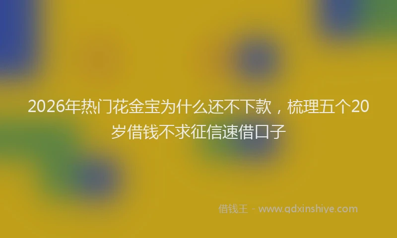 2026年热门花金宝为什么还不下款，梳理五个20岁借钱不求征信速借口子
