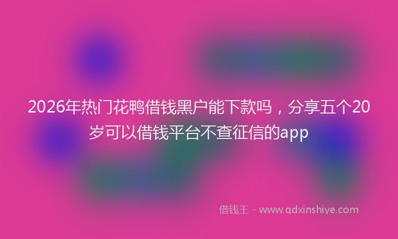2026年热门花鸭借钱黑户能下款吗，分享五个20岁可以借钱平台不查征信的app