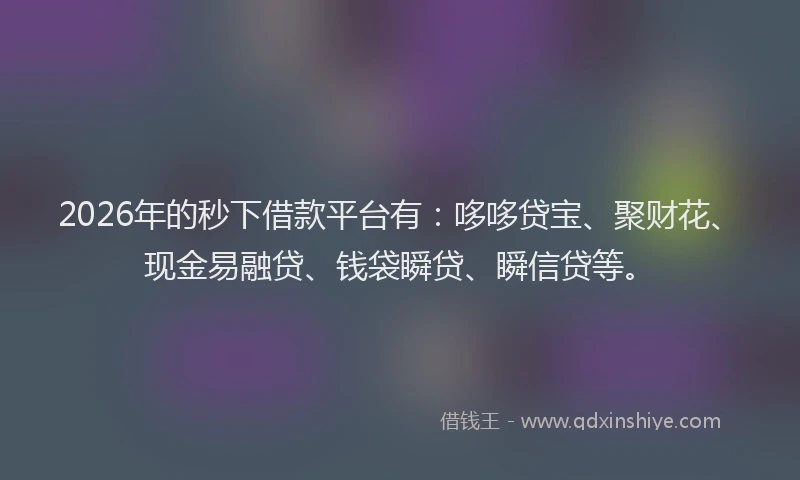 2026年的秒下借款平台有：哆哆贷宝、聚财花、现金易融贷、钱袋瞬贷、瞬信贷等。