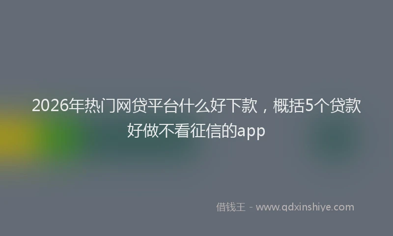 2026年热门网贷平台什么好下款，概括5个贷款好做不看征信的app