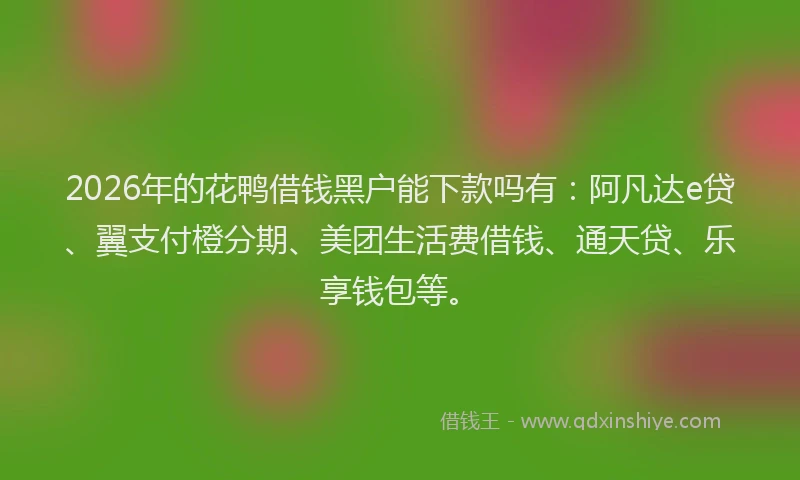 2026年的花鸭借钱黑户能下款吗有:阿凡达e贷、翼支付橙分期、美团生活费借钱、通天贷、乐享钱包等。