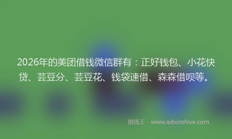 2026年的美团借钱微信群有：正好钱包、小花快贷、芸豆分、芸豆花、钱袋速借、森森借呗等。