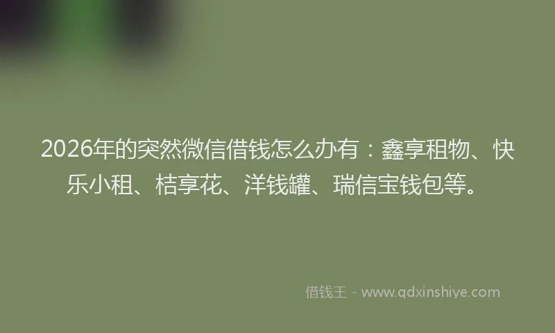 2026年的突然微信借钱怎么办有：鑫享租物、快乐小租、桔享花、洋钱罐、瑞信宝钱包等。