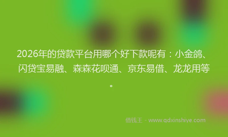 2026年的贷款平台用哪个好下款呢有：小金鸽、闪贷宝易融、森森花呗通、京东易借、龙龙用等。