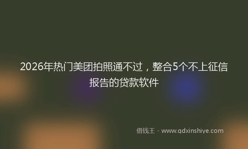 2026年热门美团拍照通不过，整合5个不上征信报告的贷款软件