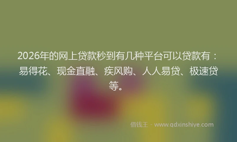 2026年的网上贷款秒到有几种平台可以贷款有：易得花、现金直融、疾风购、人人易贷、极速贷等。