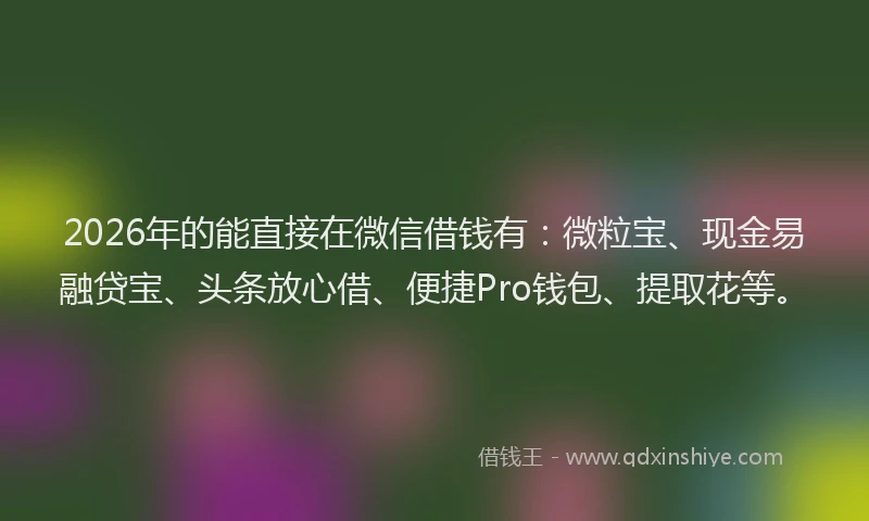 2026年的能直接在微信借钱有：微粒宝、现金易融贷宝、头条放心借、便捷Pro钱包、提取花等。