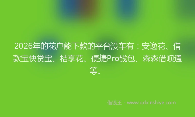 2026年的花户能下款的平台没车有：安逸花、借款宝快贷宝、桔享花、便捷Pro钱包、森森借呗通等。
