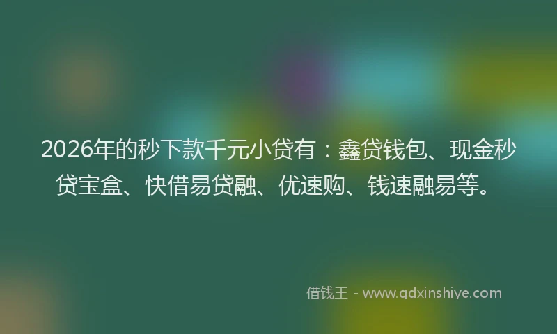 2026年的秒下款千元小贷有：鑫贷钱包、现金秒贷宝盒、快借易贷融、优速购、钱速融易等。