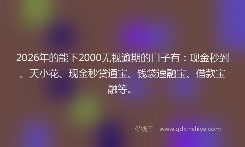 2026年的能下2000无视逾期的口子有：现金秒到、天小花、现金秒贷通宝、钱袋速融宝、借款宝融等。