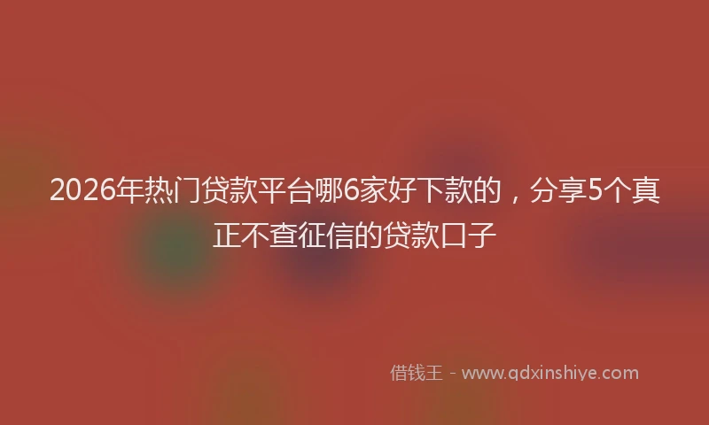 2026年热门贷款平台哪6家好下款的，分享5个真正不查征信的贷款口子