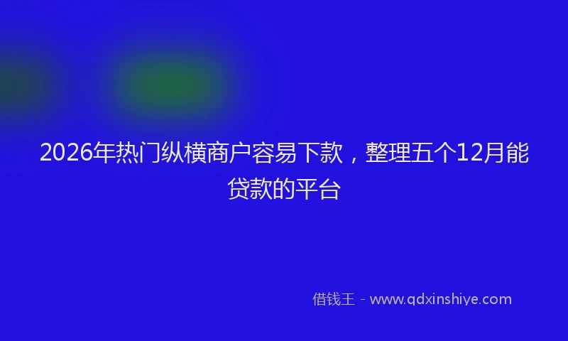 2026年热门纵横商户容易下款，整理五个12月能贷款的平台