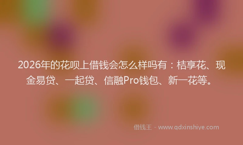 2026年的花呗上借钱会怎么样吗有：桔享花、现金易贷、一起贷、信融Pro钱包、新一花等。