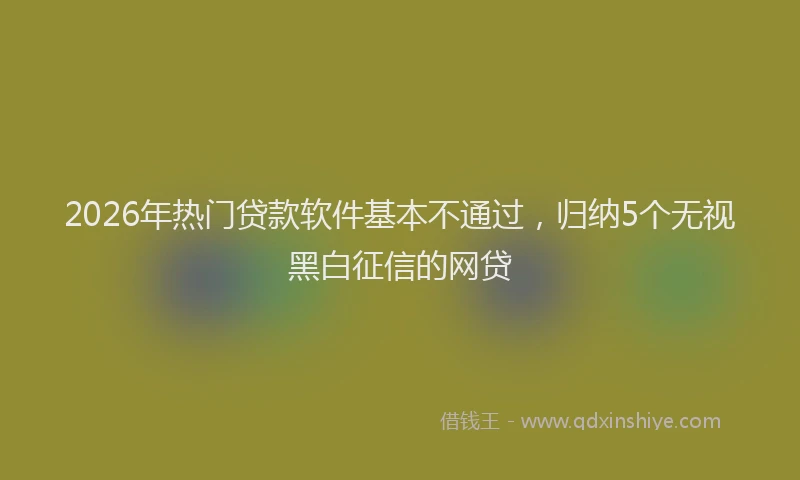 2026年热门贷款软件基本不通过，归纳5个无视黑白征信的网贷