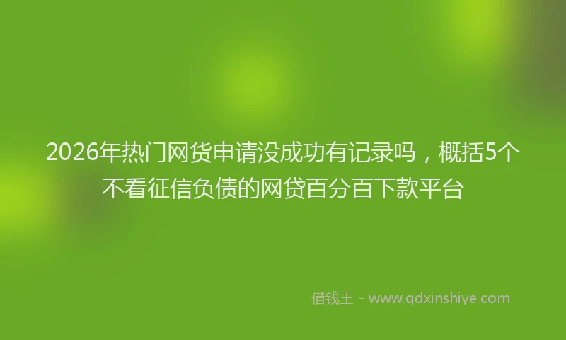 2026年热门网货申请没成功有记录吗，概括5个不看征信负债的网贷百分百下款平台