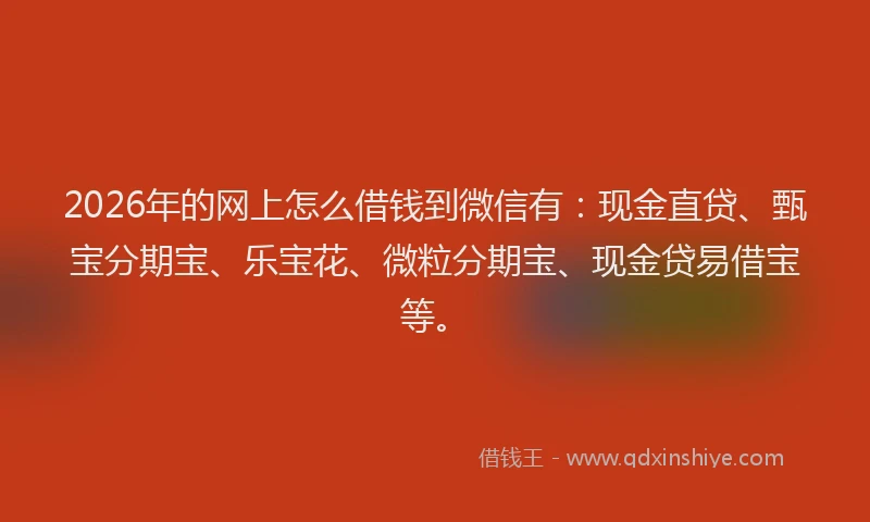 2026年的网上怎么借钱到微信有：现金直贷、甄宝分期宝、乐宝花、微粒分期宝、现金贷易借宝等。