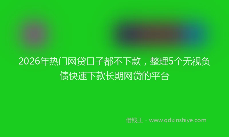 2026年热门网贷口子都不下款，整理5个无视负债快速下款长期网贷的平台
