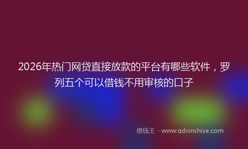 2026年热门网贷直接放款的平台有哪些软件，罗列五个可以借钱不用审核的口子