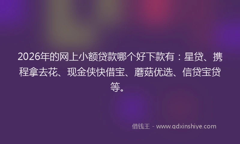 2026年的网上小额贷款哪个好下款有：星贷、携程拿去花、现金侠快借宝、蘑菇优选、信贷宝贷等。