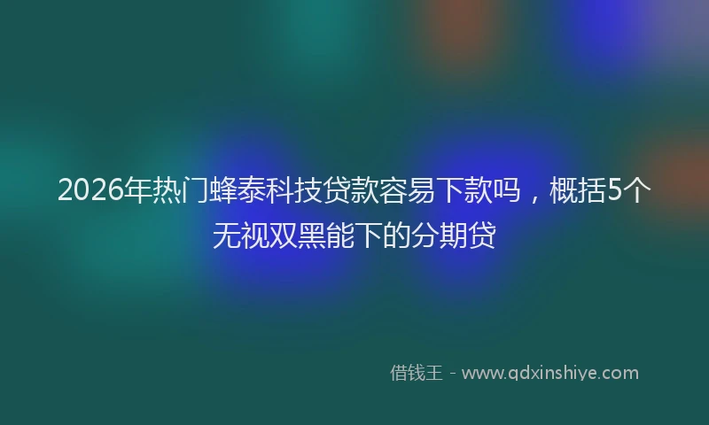 2026年热门蜂泰科技贷款容易下款吗，概括5个无视双黑能下的分期贷