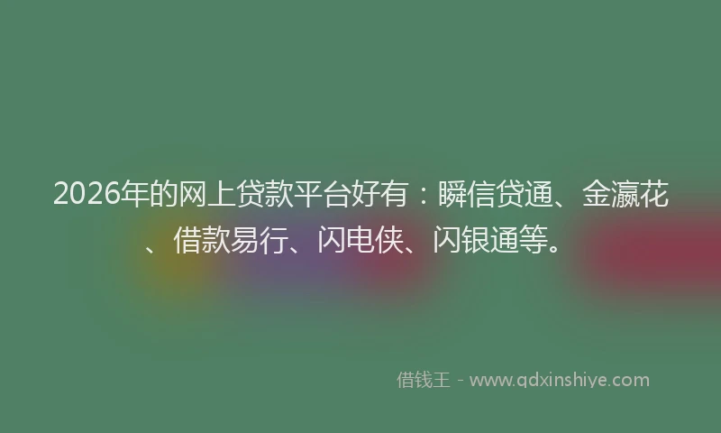 2026年的网上贷款平台好有：瞬信贷通、金瀛花、借款易行、闪电侠、闪银通等。