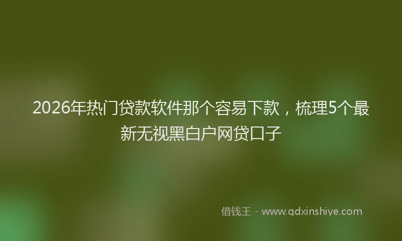 2026年热门贷款软件那个容易下款，梳理5个最新无视黑白户网贷口子