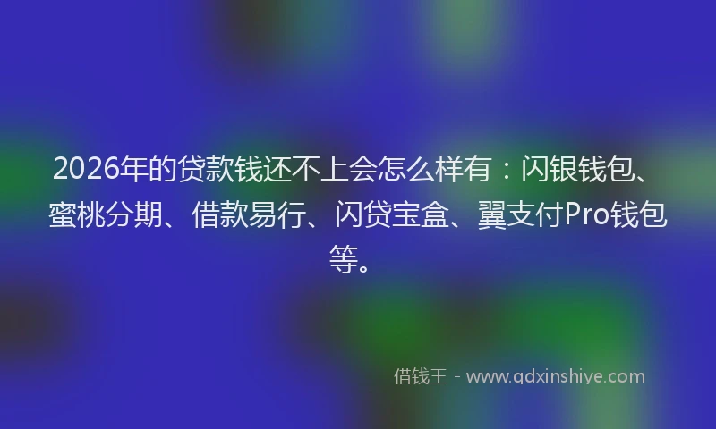 2026年的贷款钱还不上会怎么样有:闪银钱包、蜜桃分期、借款易行、闪贷宝盒、翼支付Pro钱包等。