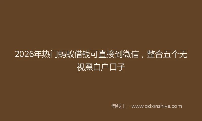 2026年热门蚂蚁借钱可直接到微信，整合五个无视黑白户口子