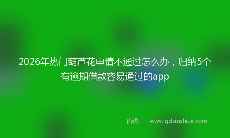 2026年热门葫芦花申请不通过怎么办，归纳5个有逾期借款容易通过的app