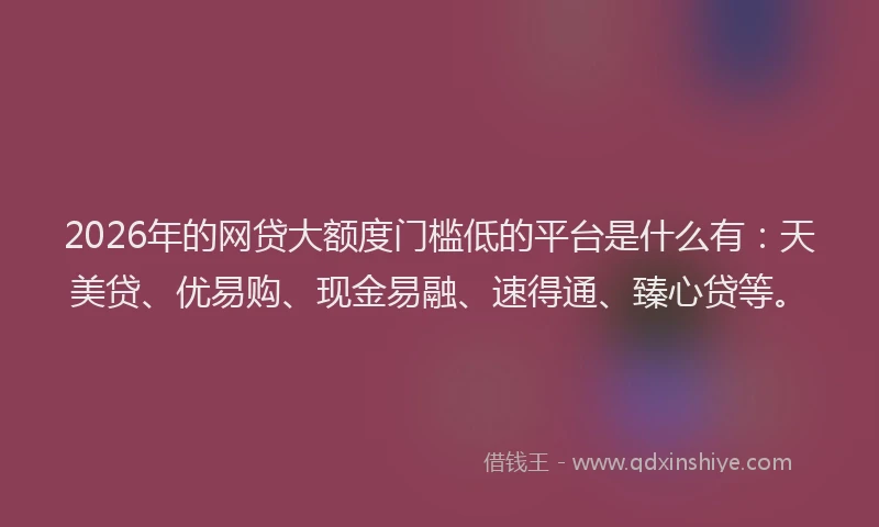 2026年的网贷大额度门槛低的平台是什么有：天美贷、优易购、现金易融、速得通、臻心贷等。