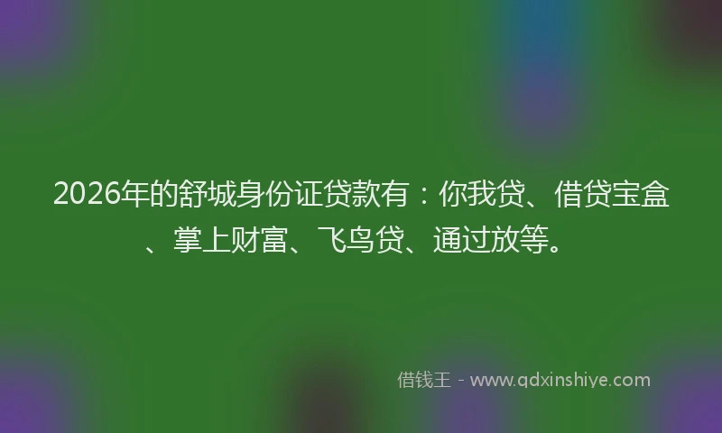 2026年的舒城身份证贷款有:你我贷、借贷宝盒、掌上财富、飞鸟贷、通过放等。
