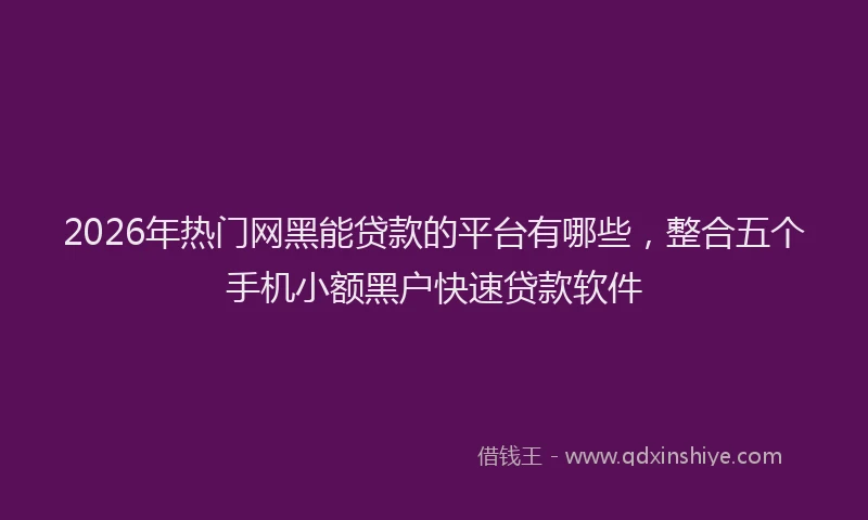 2026年热门网黑能贷款的平台有哪些，整合五个手机小额黑户快速贷款软件