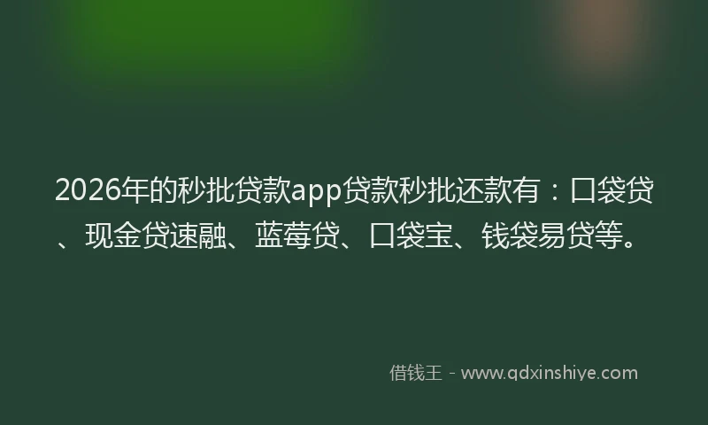 2026年的秒批贷款app贷款秒批还款有:口袋贷、现金贷速融、蓝莓贷、口袋宝、钱袋易贷等。