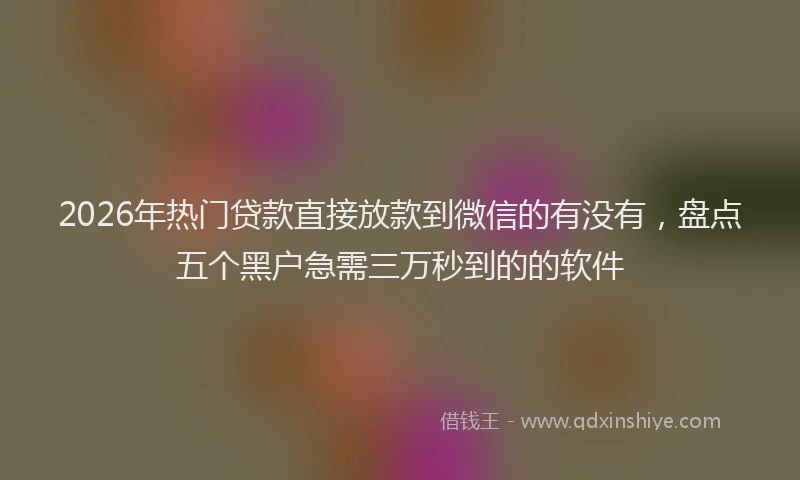 2026年热门贷款直接放款到微信的有没有，盘点五个黑户急需三万秒到的的软件
