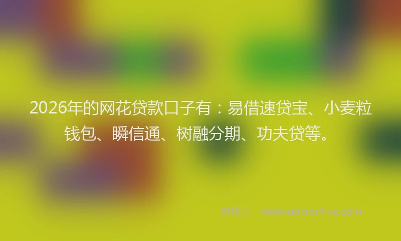 2026年的网花贷款口子有：易借速贷宝、小麦粒钱包、瞬信通、树融分期、功夫贷等。