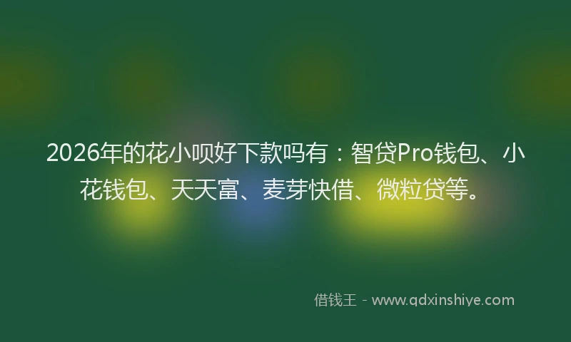 2026年的花小呗好下款吗有：智贷Pro钱包、小花钱包、天天富、麦芽快借、微粒贷等。