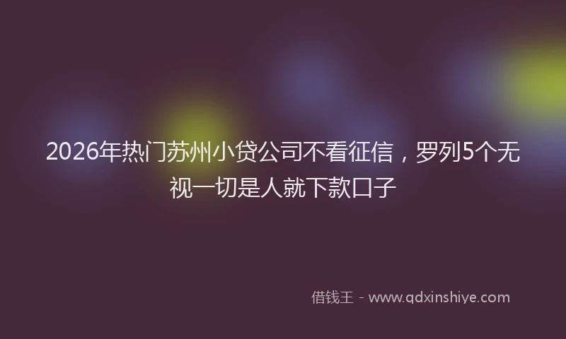 2026年热门苏州小贷公司不看征信，罗列5个无视一切是人就下款口子
