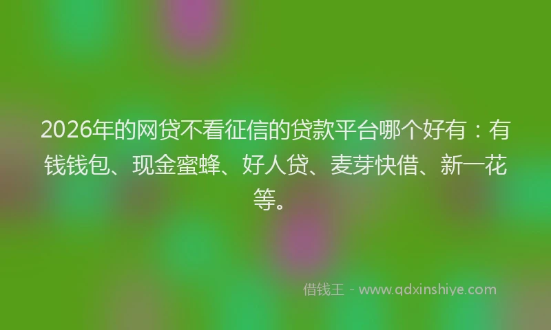 2026年的网贷不看征信的贷款平台哪个好有：有钱钱包、现金蜜蜂、好人贷、麦芽快借、新一花等。