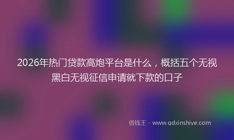 2026年热门贷款高炮平台是什么，概括五个无视黑白无视征信申请就下款的口子