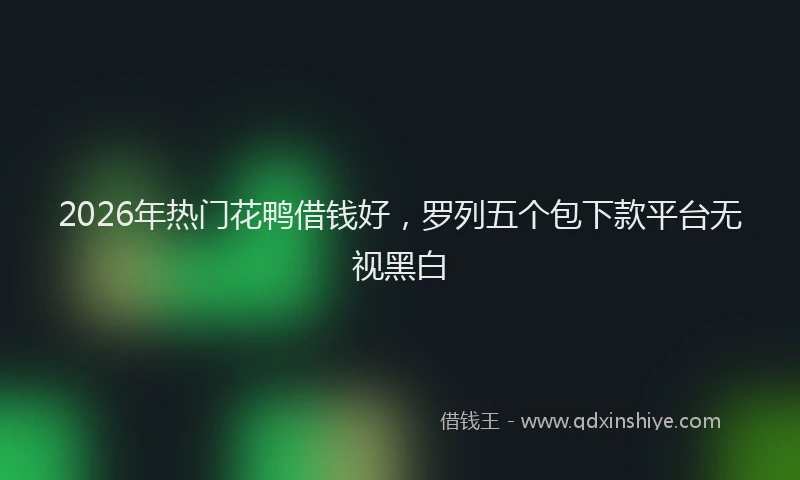 2026年热门花鸭借钱好,罗列五个包下款平台无视黑白