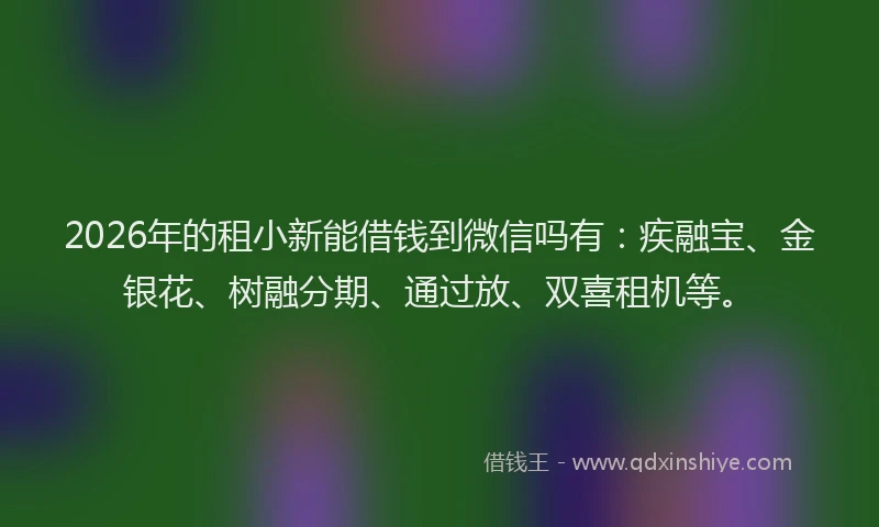 2026年的租小新能借钱到微信吗有：疾融宝、金银花、树融分期、通过放、双喜租机等。
