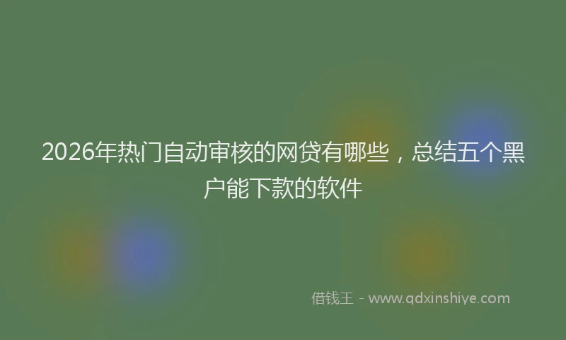 2026年热门自动审核的网贷有哪些，总结五个黑户能下款的软件