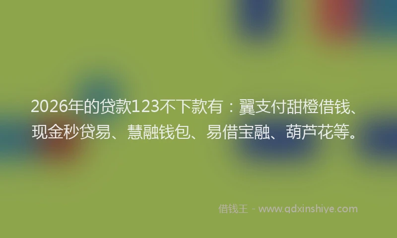 2026年的贷款123不下款有：翼支付甜橙借钱、现金秒贷易、慧融钱包、易借宝融、葫芦花等。