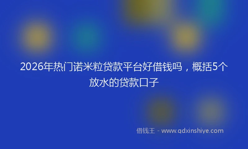 2026年热门诺米粒贷款平台好借钱吗，概括5个放水的贷款口子