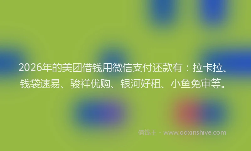 2026年的美团借钱用微信支付还款有:拉卡拉、钱袋速易、骏祥优购、银河好租、小鱼免审等。